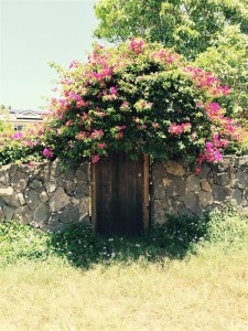 Flower-Doorways