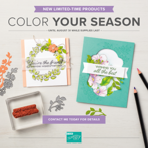 Color Your Season-1